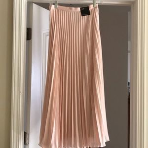 Banana Republic pleated maxi skirt